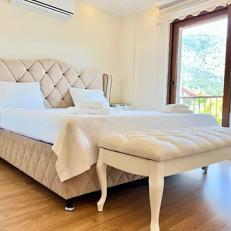 Centrally Located Very Large W Pool Jakuz And Car Park Vilă